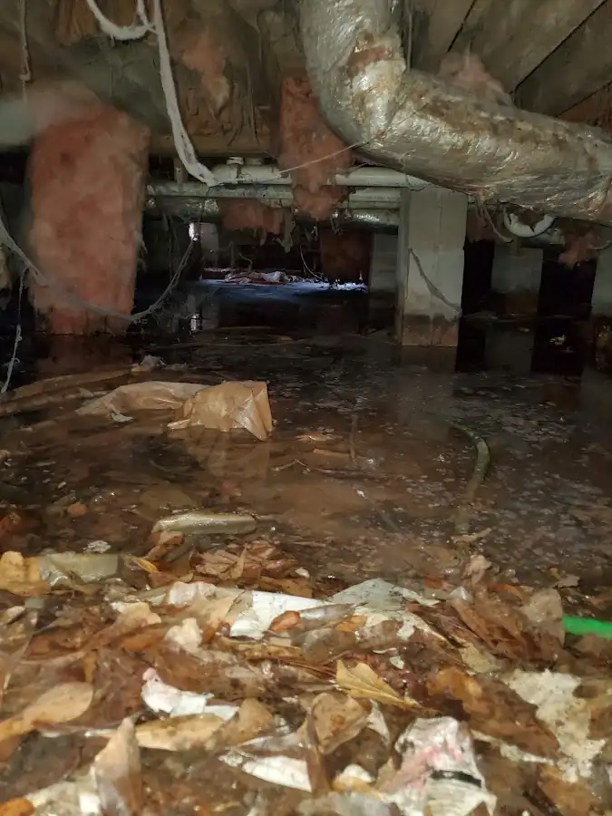Crawl space flood assessment for Leak Detection & Repair in Carthage